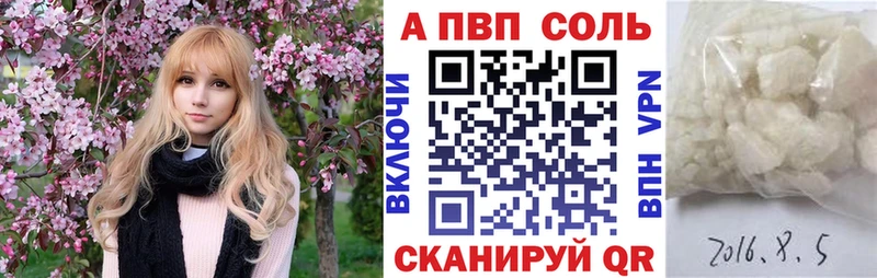 A PVP СК Новокузнецк