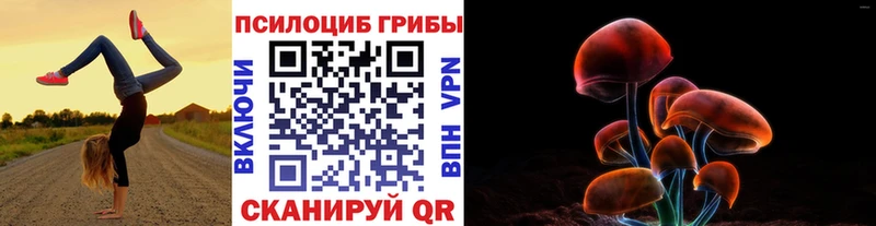 Псилоцибиновые грибы ЛСД Новокузнецк