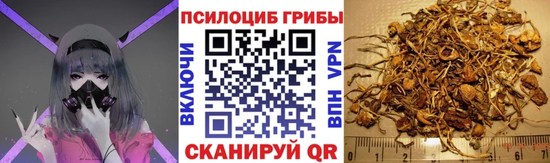 Галлюциногенные грибы мухоморы  Новокузнецк 